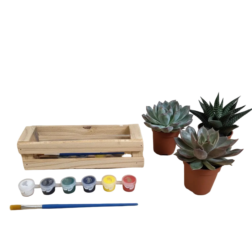 A miniature wooden planter set on a light wood table against a gray wall, featuring a small wooden crate made from pallet wood, a paint palette with five small pots in white, blue, green, yellow, and red, a paintbrush, and three small potted succulents.