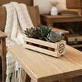 A small potted succulent arrangement in a light natural wood planter box made from pallet wood with a circular 'Fancy Mom' logo on the front, placed on a light wood tabletop against a plain light gray wall.