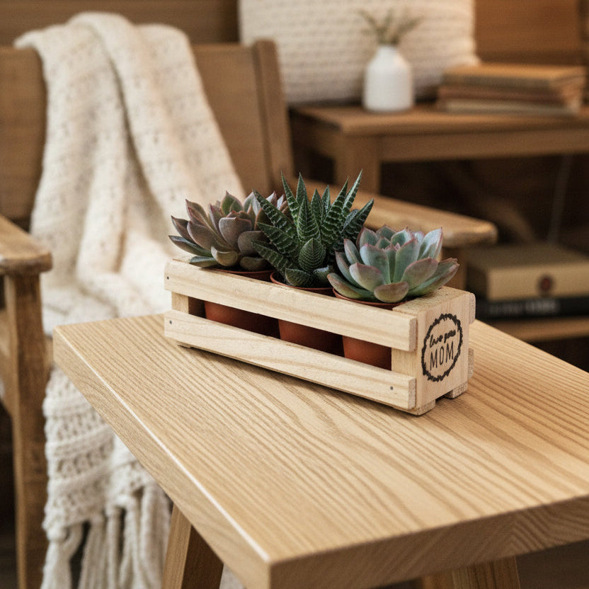 A small potted succulent arrangement in a light natural wood planter box made from pallet wood with a circular 'Fancy Mom' logo on the front, placed on a light wood tabletop against a plain light gray wall.